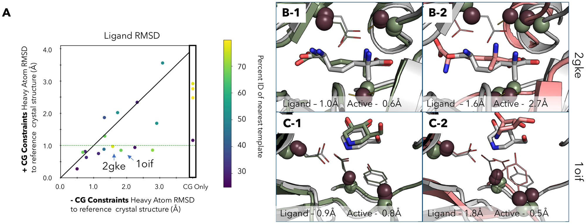 Figure from Bertolani and Siegel 2019 showing ligand docking with and without catalytic geometry constraints